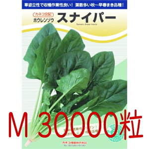 y׎oׁzJlRc@XiCp[@@@@vC~O@iMj30000