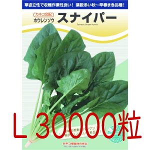 y׎oׁzJlRc@XiCp[@@@@vC~O@iLj30000