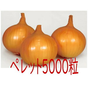 y׎oׁzJlRc@X[@ʔK@ybg5000