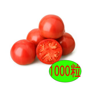 y׎oׁzJlRc@ϕa@1000