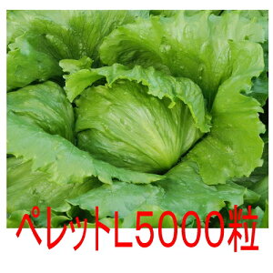 y׎oׁzJlRc@`At@^X@ybg5000