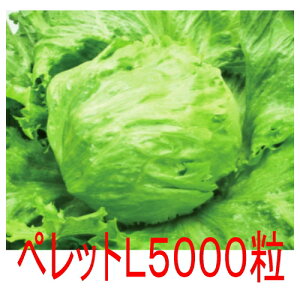 y׎oׁzJlRc@gK[@^X@ybgL5000