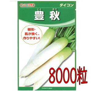 y׎oׁzJlRc@LH@卪@8000