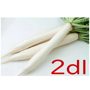 y׎oׁzJlRc@ЂЂ@卪@2dl