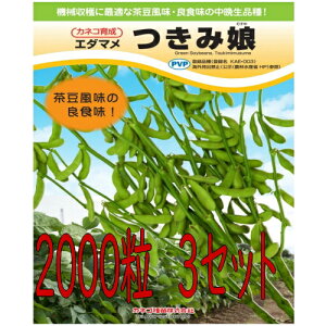 JlRc } ݖ 2000@q@3Zbg