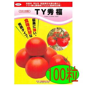 �y���׎���o�ׁz�J�l�R��c�@TY�G���@100��