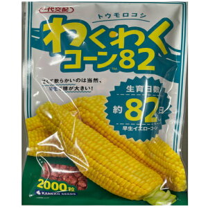 y׎oׁzJlRc@킭킭R[82@2000