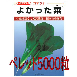 y׎oׁzJlRc@悩؁@؁@ybgL5000