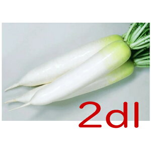 �y���׎���o�ׁz�J�l�R��c�@YR���H�@�卪�@2dl