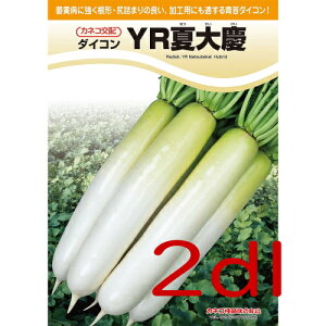 y׎oׁzJlRc@YRđc@卪@2dl