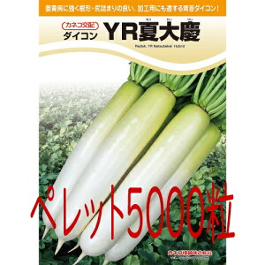 y׎oׁzJlRc@YRđc@卪@ybg5000