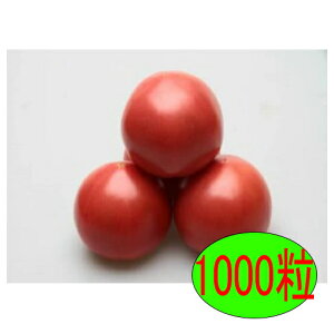 y׎oׁzJlRc@CfD@1000