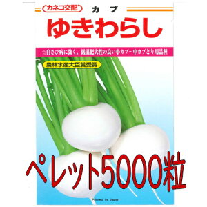 y׎oׁzJlRc@䂫炵@@ybg5000