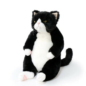 Cuddly Jh[ rܘY (45cm 650g) \S[Ƃ䂩ȒԂ Lʂ y{z