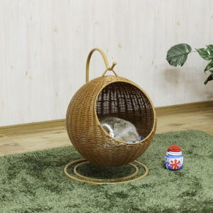 㓡Ƌ lR̖̋Ԃ^ybgpnMO`FA[ PET-HC-BR