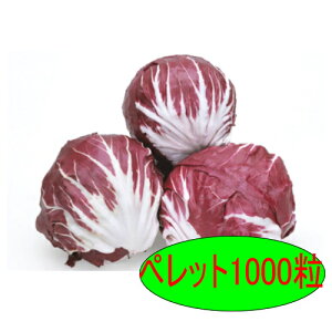 �y���׎���o�ׁz�J�l�R��c�@���b�h���b�N�@�y���b�g1000��