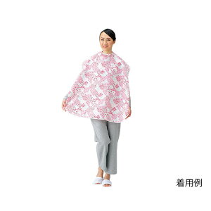 HpGv@sNԕ @@4571312040108