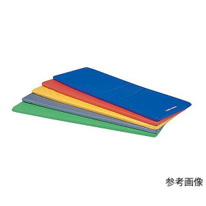 �g�[�G�C���C�g�@�G�N�T�T�C�Y�}�b�g�@ST180�@�_�[�N�O���[�� �@H-7465DG�@4518891273268