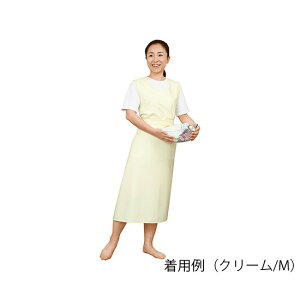 G[@GviЂ^Cvj@N[/L @6013@4975520812326
