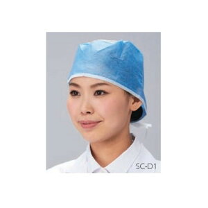 fBX|Lbvi댋у^Cvj  100@SC-D1@4560111721288