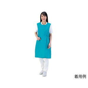 �T���A���[�@�����p�����G�v�����i�|�[�`�t�j�@�O���[���@L �@909-92 L�@4560160761952