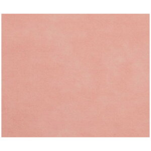 �A�|���q�ށ@�f�B�X�|�h���J�[�e���@�ʃt�@�X�i�[��155�@�s���N �@�@4951105113156