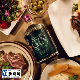【金賞受賞/沖縄クラフトジン】 MIYAKOGIN ミヤコジン 47度 700ml / 宮古島 多良川 たらがわ | ジャパニーズジン スピリッツ 黒糖 ボタニカル 洋酒 カクテル ギフト お土産