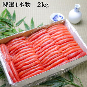炱 ^R 1v`v`炱1{Ղ2kg kC Õ炨͂B Mtg Ɩp 