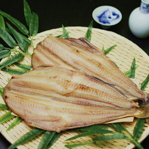 ق JV}ق 21Zbg قJ Jق