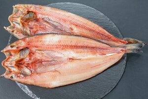 ق kC ߊCY Jق 300gȏ21Zbg قJ