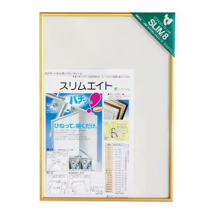 �\�t�P��(Sofken) �A���~�z�� �X�����G�C�g A2 �S�[���h 002276