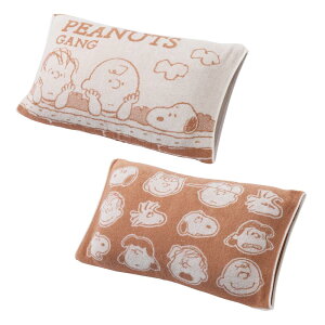 nishikawayz Xk[s[ ̂т̂у^Is[P[X 34X64cm 􂦂 AgRۉH pCn Jo[s[ibcMO PEANUTS PN3660TW x[W XT63196666
