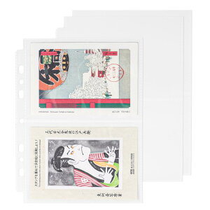 Baskiss |XgJ[hEXւ͂ [tB[ rbOA5 tB 2|Pbg ֎|Pbgt@C 7 3E6ʗp 20 NA