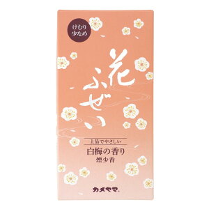 J} Ԃӂ ~  100g  Ȃ