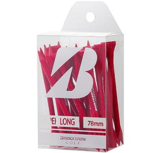 BRIDGESTONE(uaXg) St EbheB[(X[p[OE24{) GAG302 bh 2023Nf