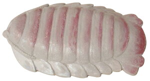 H [C ܂ݎM _CIEO\NV SAN-2669