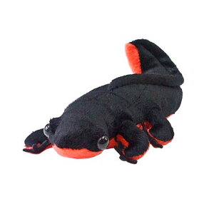 TST ADVANCE �A�J�n���C���� �ʂ������ BLACK �T�C�Y:18cm