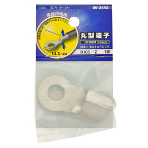 I[d@ ی^[q R100-12 1 DZ-R100-12/A1 09-2443 OHM