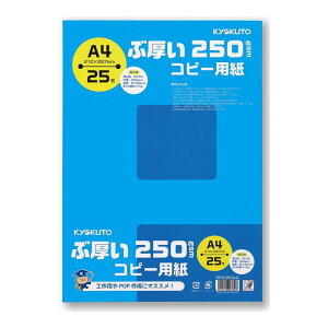 LNgEEA\VGCc Rs[p A4 ԌRs[p 25 PPC250A4