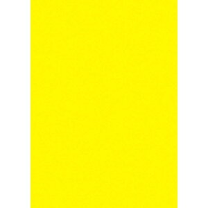 TTK(Sasagawa) ^J |bvp PCR[|X^[ A4 13-3185  10