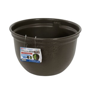 WFbNX GEX _JC _Ĵ߂̎甫  320 Oa32×20cm 8L O  y 2̐ @ e: