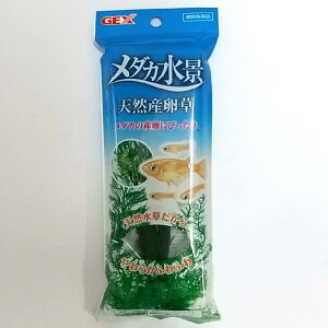 WFbNX GEX _JC V_ _Ji VRY