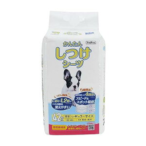 ybgv 񂽂񂵂V[cM[42  ybgV[c gCg[jO btgCt U ĝ  33×45cm