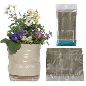 GRbg ؉p(3Zbg) ʗp ZEK0101