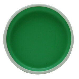 g(Kissho) {pG S (rNN) 49