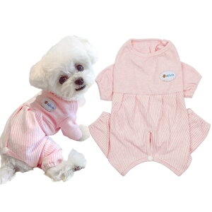 KUVEELA PET p㕞 L p㕞 Dp pEFA X IX  ی 앞 ^iuCgsNAXSj