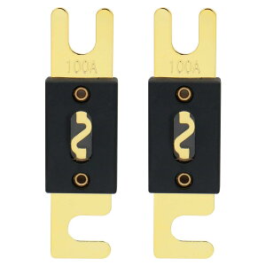 Heschen  ANLq[Y 100A  oCN I[fBITuE[t@[ pi 2