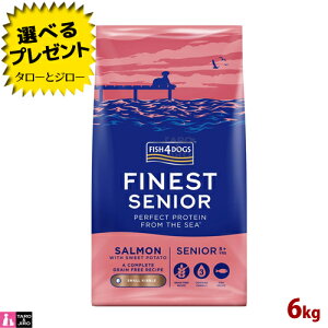 y|Cg10{zyIׂ邨܂tztBbV4 hbO t@ClXg T[ VjA  6kg  sgp EPA DHA v~A hbOt[h