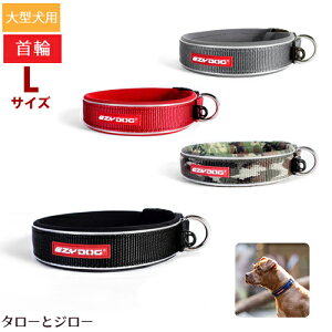 C[W[hbO p  lIJ[ LTCY ^p(܂42`47cm) S4F (ubN / bh / O[J / OC)y񏤕izyԕi/sz