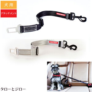 C[W[hbO V[gxg [h NbN  яoh~ S2F(ubN/OC)y񂹁zyԕi/sz